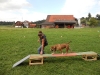 29-aug-2011-039