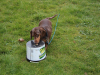 image068