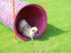 image021
