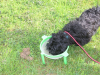 image058
