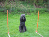 image093
