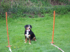 image094