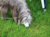 image099