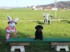 image019