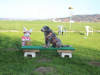 image022