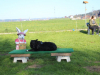 image041