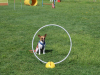 image222