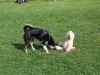 image018