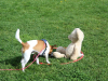 image020