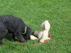 image022