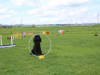image101
