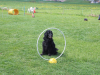 image104
