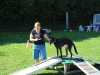 image038