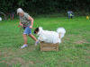 image007