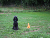 image013