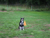 image015