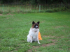 image019