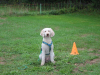 image022