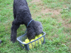 image024