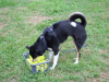 image025