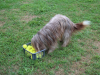 image027