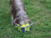 image028