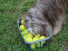 image029