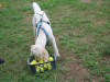 image032