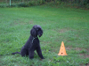 image003