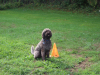 image010