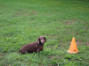 image011