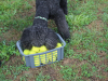 image013