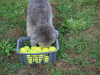 image014