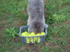 image015