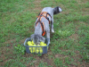 image017