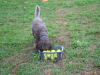 image019