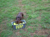 image020