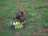 image021