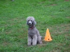 image022