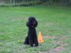 image064