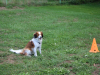image074