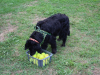 image077
