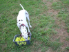 image079
