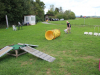 image101