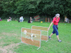 image114