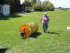 image006