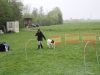 image006
