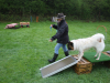 image008