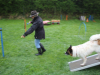 image009