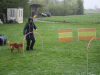 image015